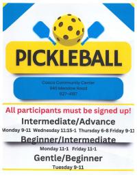 Pickleball