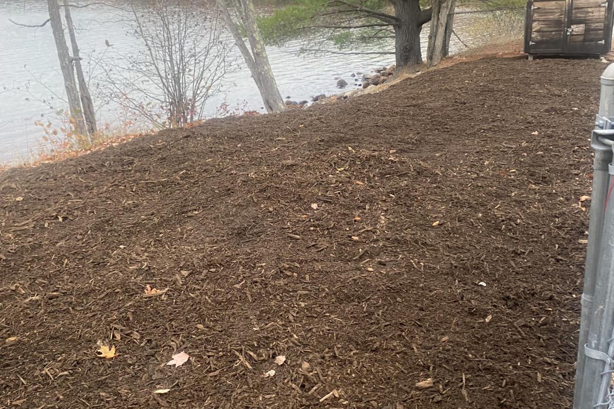 Pleasant Lake Beach Repairs