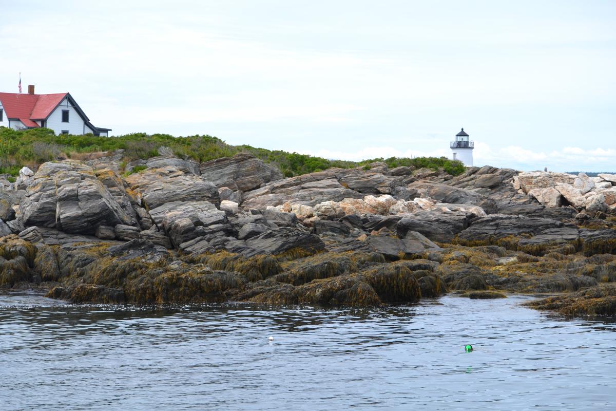 Cabbage Island Senior Trip