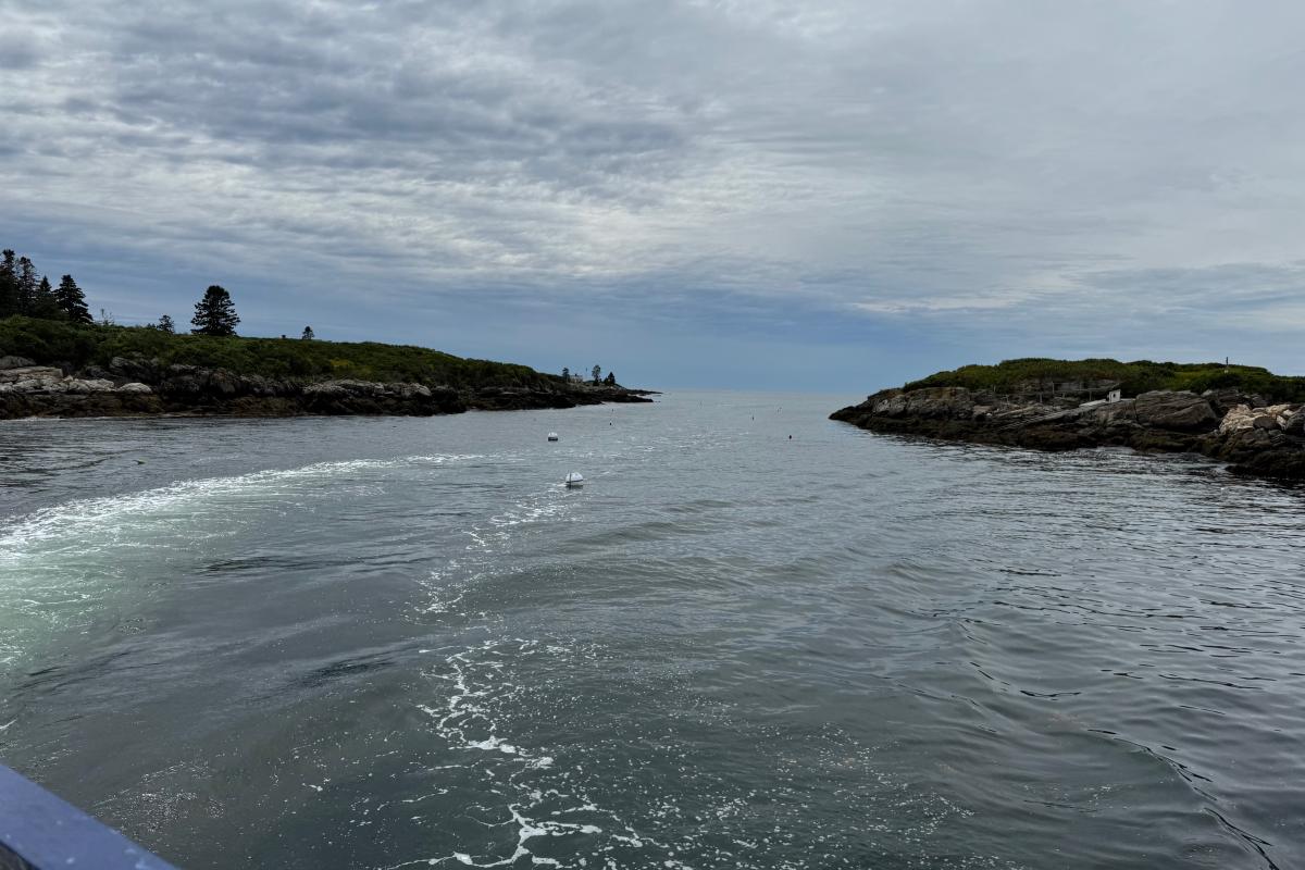 Cabbage Island Senior Trip