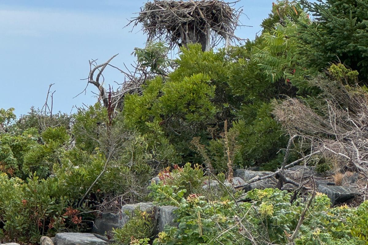 Cabbage Island Senior Trip