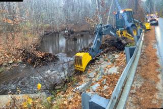 Clearing Beaver Dam - Edwards Road