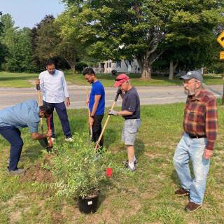 Planting at Casco Gas & Convenience