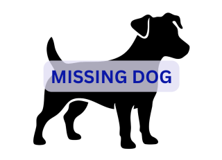 Missing Dog