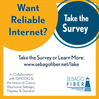 Internet Demand Survey