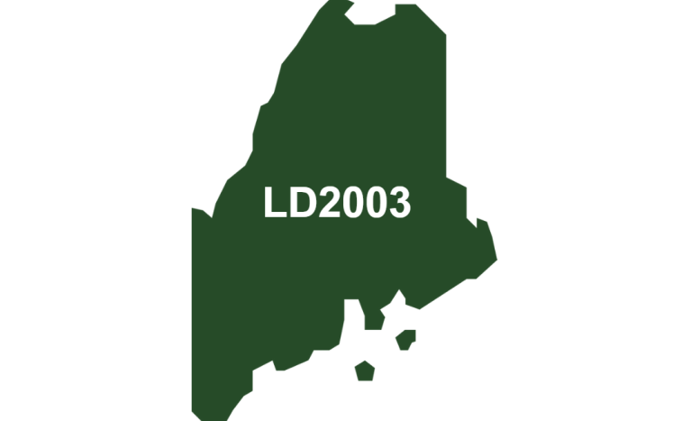 LD 2003 Image