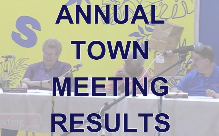 Annual Town Meeting Image