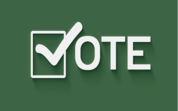 Vote Sign